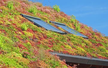 Knolton Bryn living roof systems