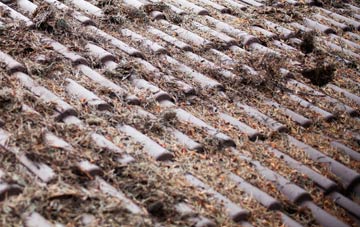 Knolton Bryn roof cleaning companies